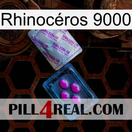 Rhinocéros 9000 37